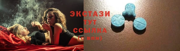 стаф Аркадак