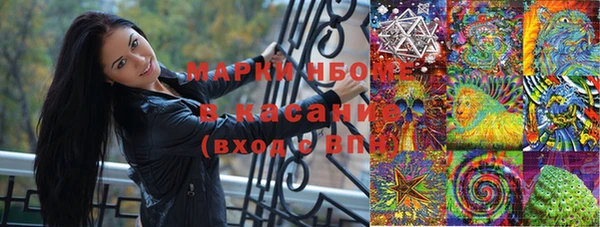 стаф Аркадак