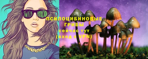 прущие крисы Арсеньев