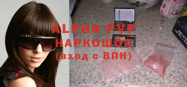 стаф Аркадак