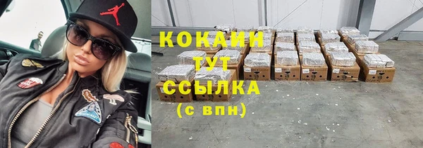 стаф Аркадак