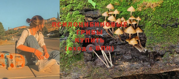 прущие крисы Арсеньев